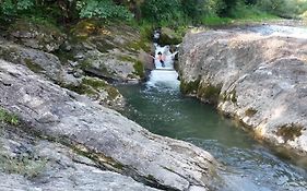 Жива вода